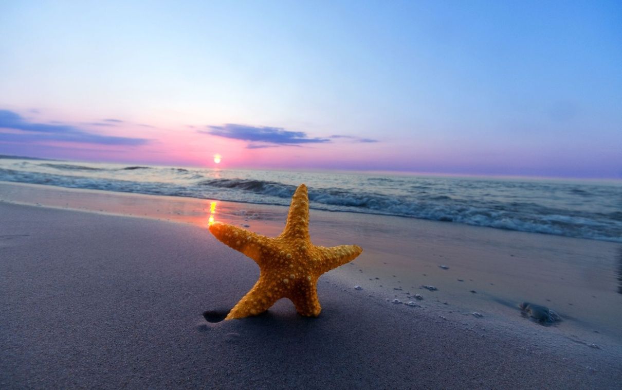 Seesterne am Strand bei Sonnenuntergang